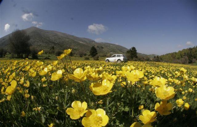 Guesthouse Kalypso Kókkinon Nerón Dış mekan fotoğraf